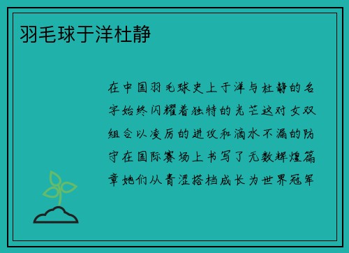 羽毛球于洋杜静